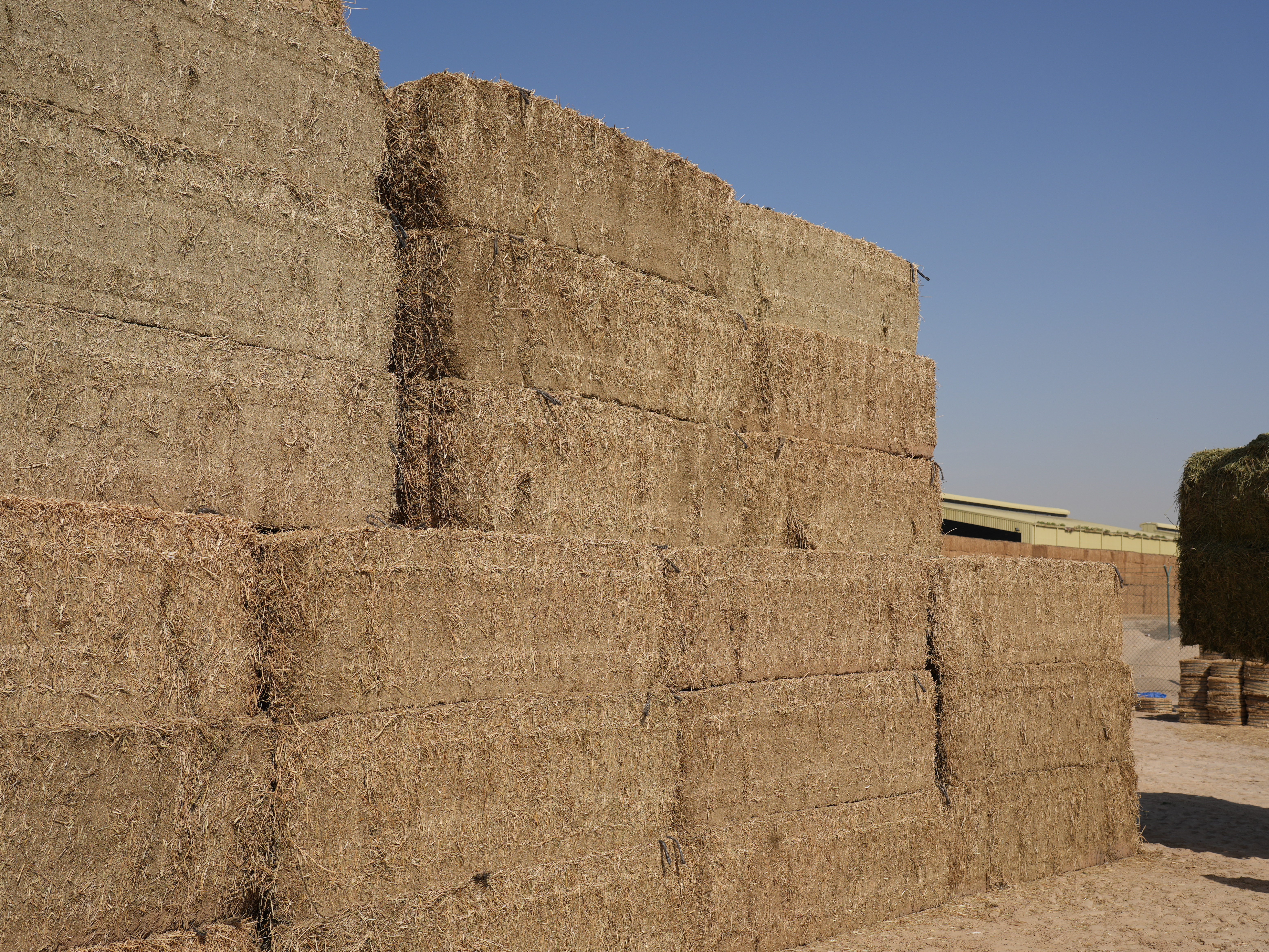 The Fodder Market